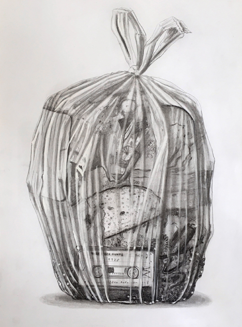 The Pandemie Papers 2022