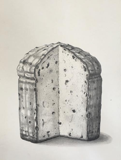 The Pandemie Papers 2022