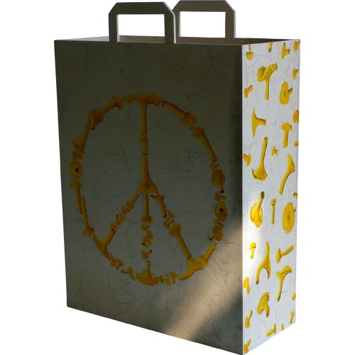 Three-Dimensional Bag